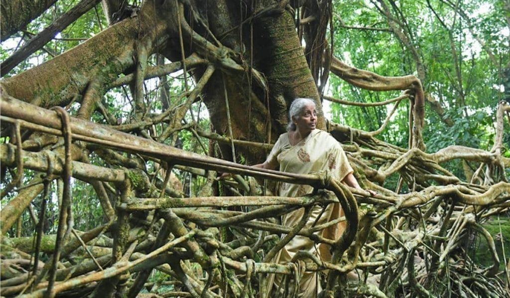 मेघालय के लीविंग रूट ब्रिज पर पहुंचीं वित्त मंत्री निर्मला सीतारमण!