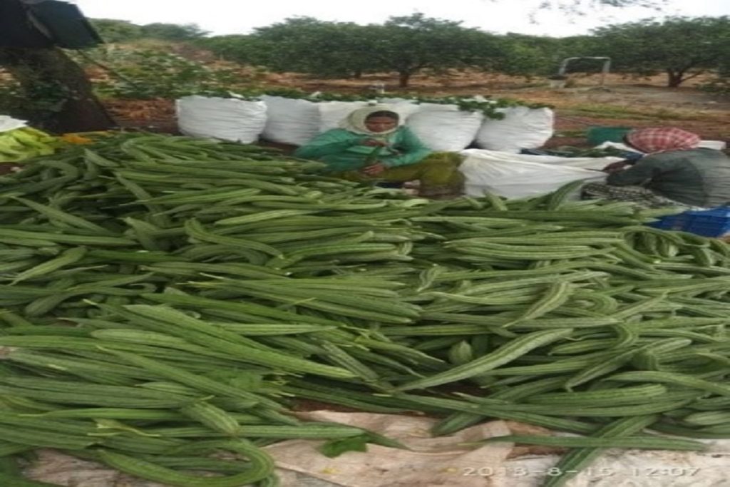 डायबिटीज से त्वचा रोग तक, कई समस्याओं का एक समाधान​!