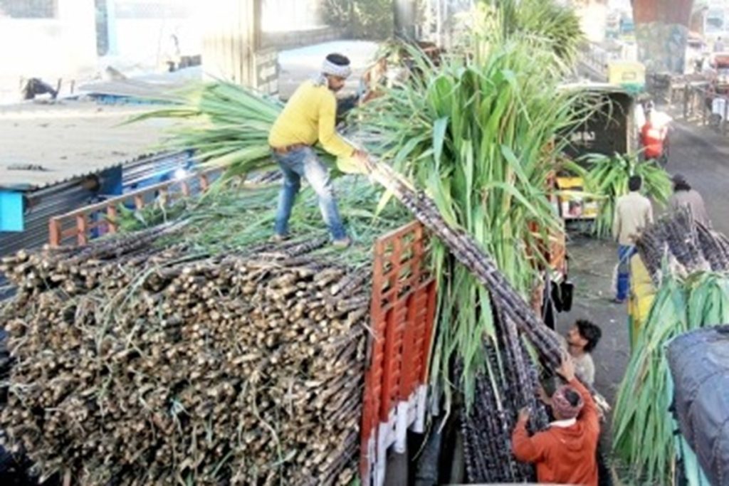 वित्त वर्ष 2026 में 8% तक बढ़ सकता है भारत की चीनी मिलों का राजस्व: ICRA रिपोर्ट