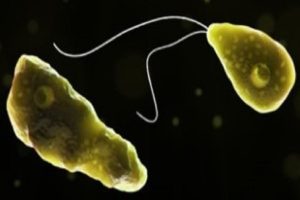 11-year-old-girl-tests-positive-for-amoebic-meningitis-in-Kerala-cases-rise-to-three!