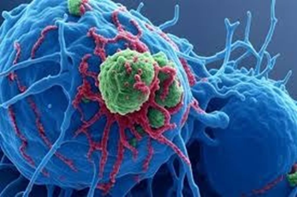 गर्भाशय कैंसर के नए जीनोमिक जोखिम कारकों की पहचान!