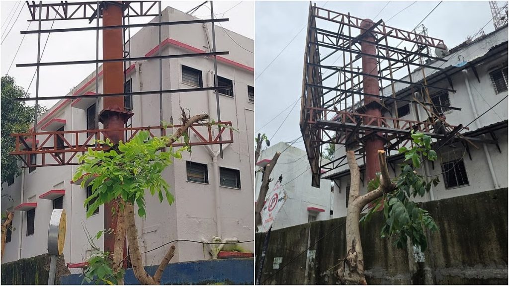 नारियल पेड़ हादसे में उच्च न्यायालय ने हाउसिंग सोसाइटी पर लगाया ₹11.8 लाख का जुर्माना !