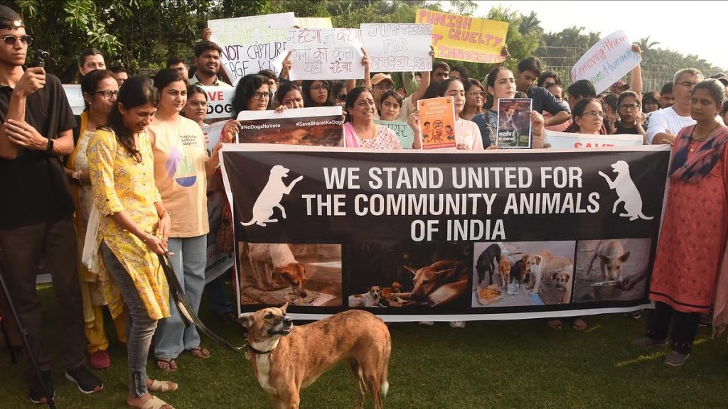 मुंबई में सुप्रीम कोर्ट के आदेश के खिलाफ प्रदर्शन, आवारा कुत्तों को हटाने के फैसले पर आपत्ति!
