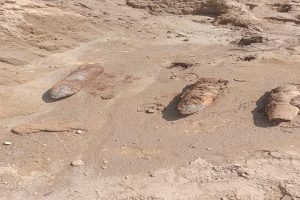 Three-cannon-shells-found-in-Samba-Jammu-and-Kashmir-panic-in-the-area!