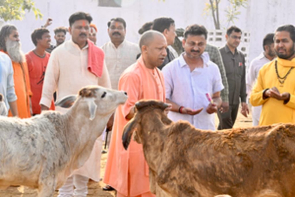 सीएम योगी के विजन और गऊ माता की कृपा से यूपी बनेगा ट्रिलियन इकोनॉमी!