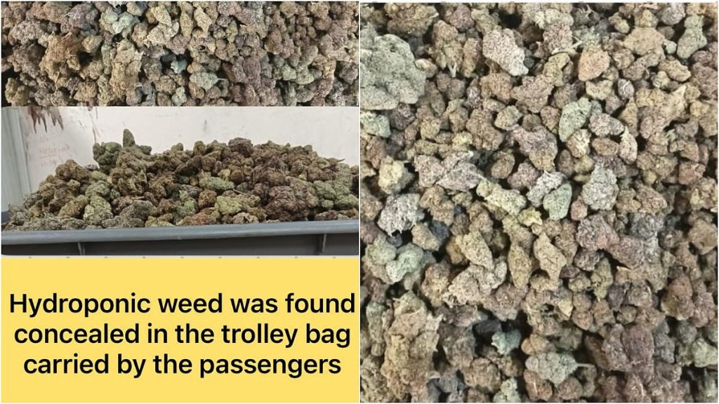 मुंबई एयरपोर्ट कस्टम्स ने जब्त की 1.78 करोड़ रुपये की ड्रग्स!