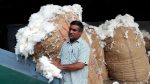india-extends-cotton-import-duty-relief-december-2025