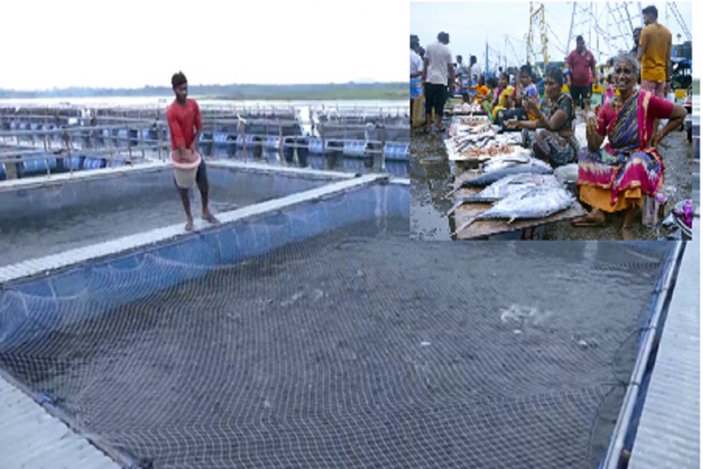 पीएम मत्स्य संपदा योजना के 5 साल: नीली क्रांति से बढ़े रोजगार!