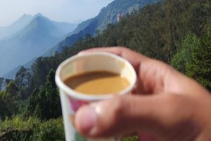 Drinking-tea-immediately-after-brushing-your-teeth-is-harmful-for-your-health!