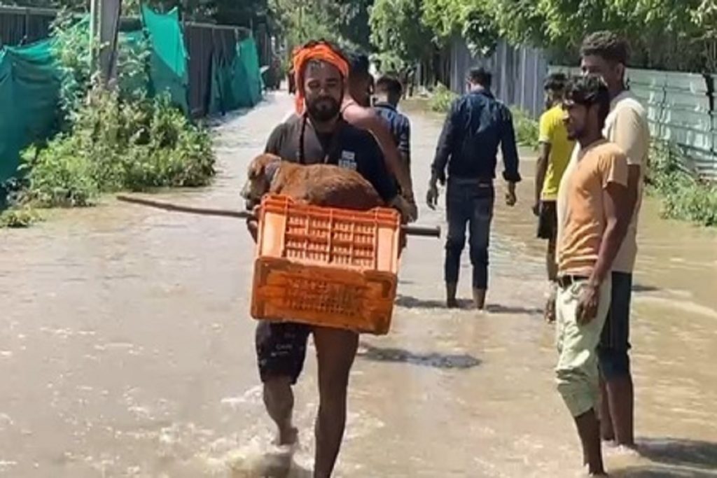 दिल्ली-नोएडा में बाढ़ का कहर, केजरीवाल ने मदद पहुंचाने के निर्देश दिए!