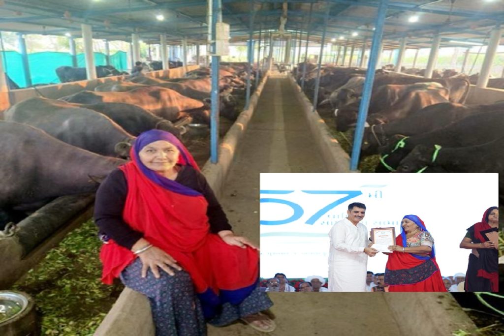 बनासकांठा की मानीबेन ने बेचा 1.94 करोड़ का दूध, इस वर्ष 3 करोड़ का लक्ष्य!