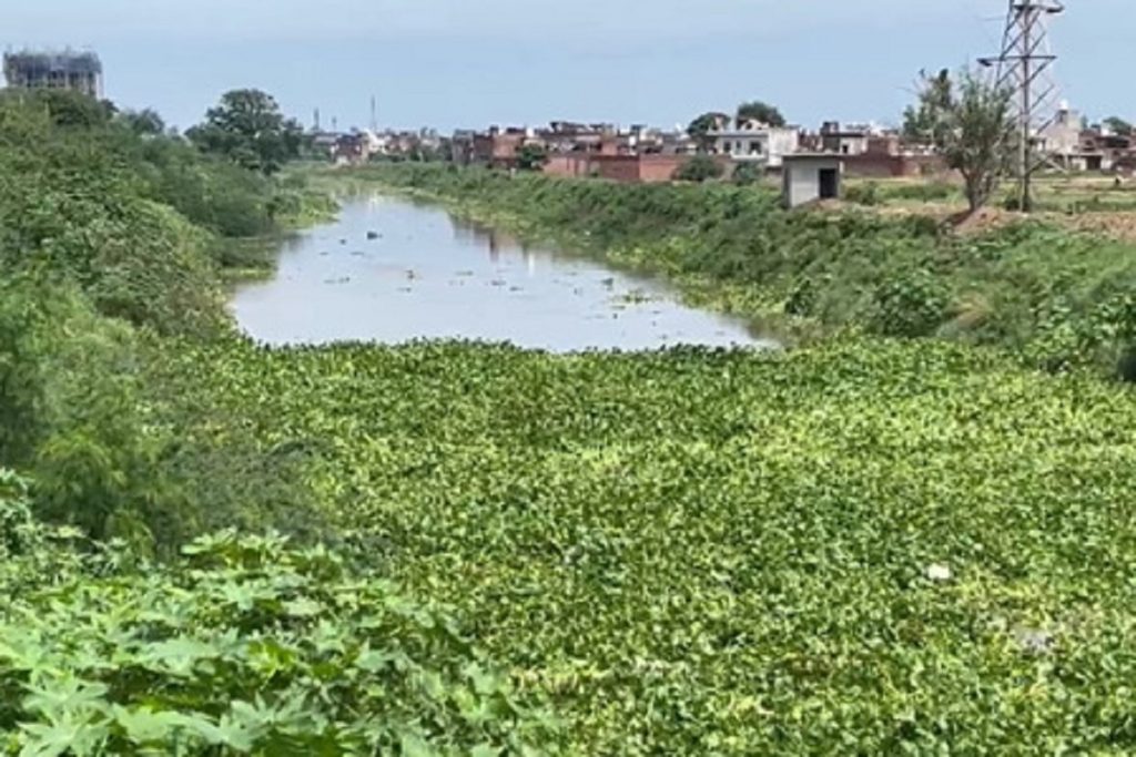 पंजाब : पटियाला में घग्गर नदी का जलस्तर बढ़ने से अलर्ट, बाढ़ के खतरे से दहशत!