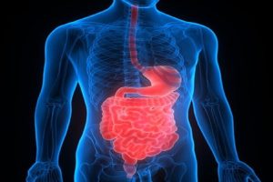 Small-intestine-Small-in-name-but-a-powerhouse-of-health-and-strength!