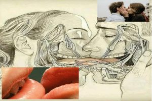 What-happens-when-we-kiss-with-our-tongues!