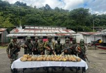 manipur-cross-border-drug-syndicate-opium-seized