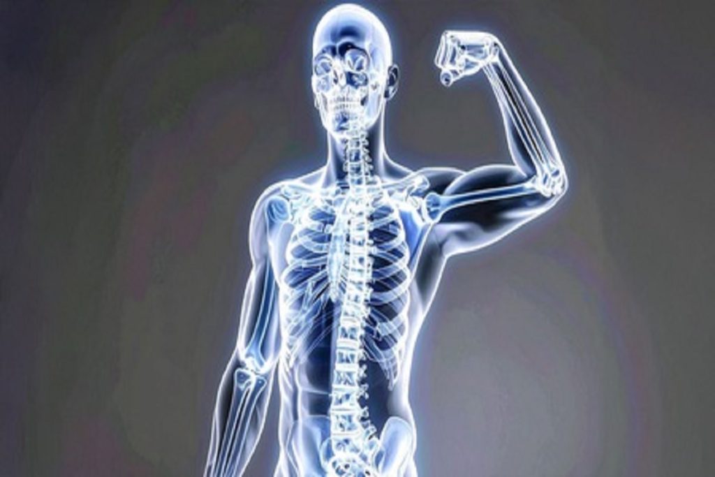 शरीर की मजबूत नींव हैं हड्डियां, आयुर्वेद से जानिए इन्हें कैसे रखें स्वस्थ!