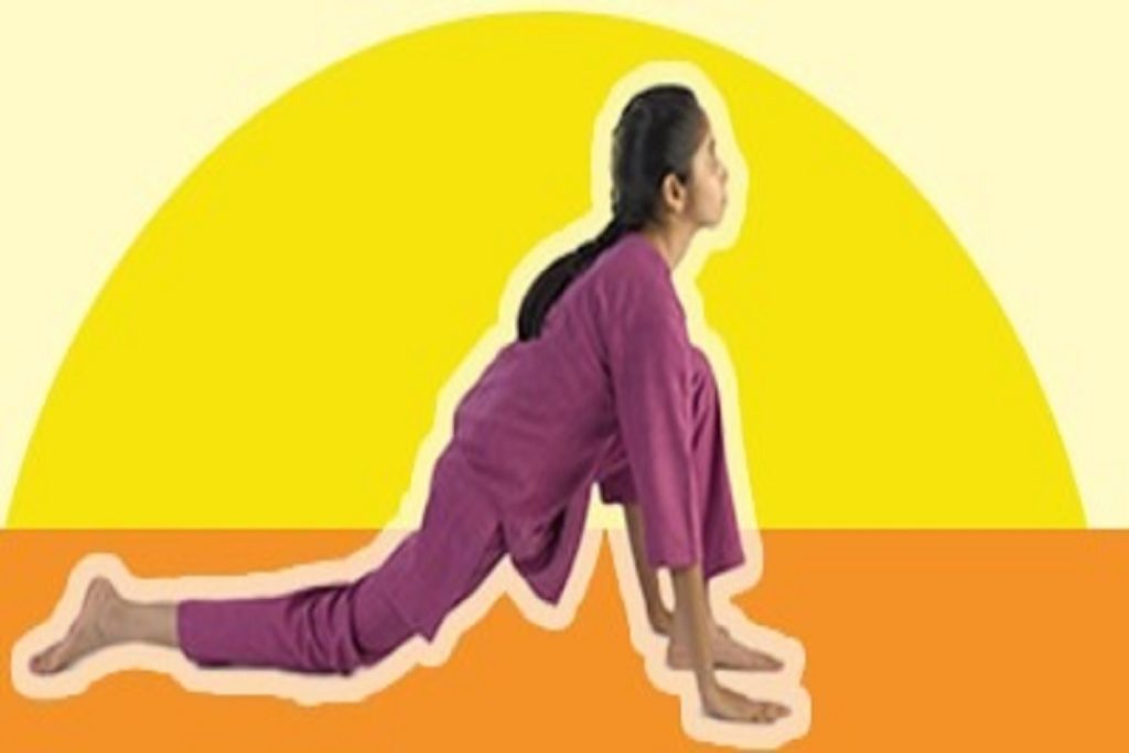 सूर्य नमस्कार से लेकर वज्रासन तक, ये आसान योगासन बनाएंगे आपकी सेहत!