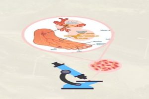 Nagaland-University-discovers-sinapic-acid-which-helps-in-healing-diabetic-wounds!