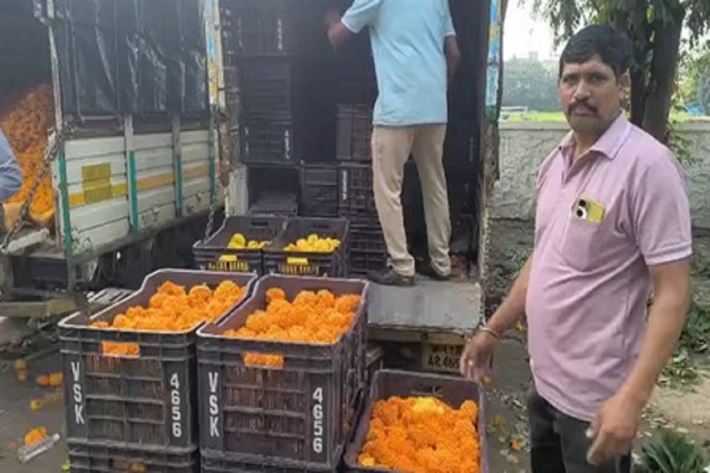 नासिक दशहरा: बारिश से उत्सव फीका, फूल किसानों को भारी नुकसान!
