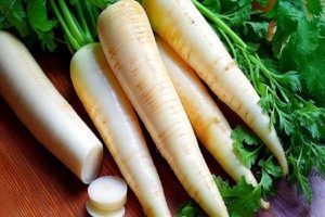 Benefits-of-Radish-Not-just-a-vegetable-it-is-also-a-storehouse-of-medicinal-properties!