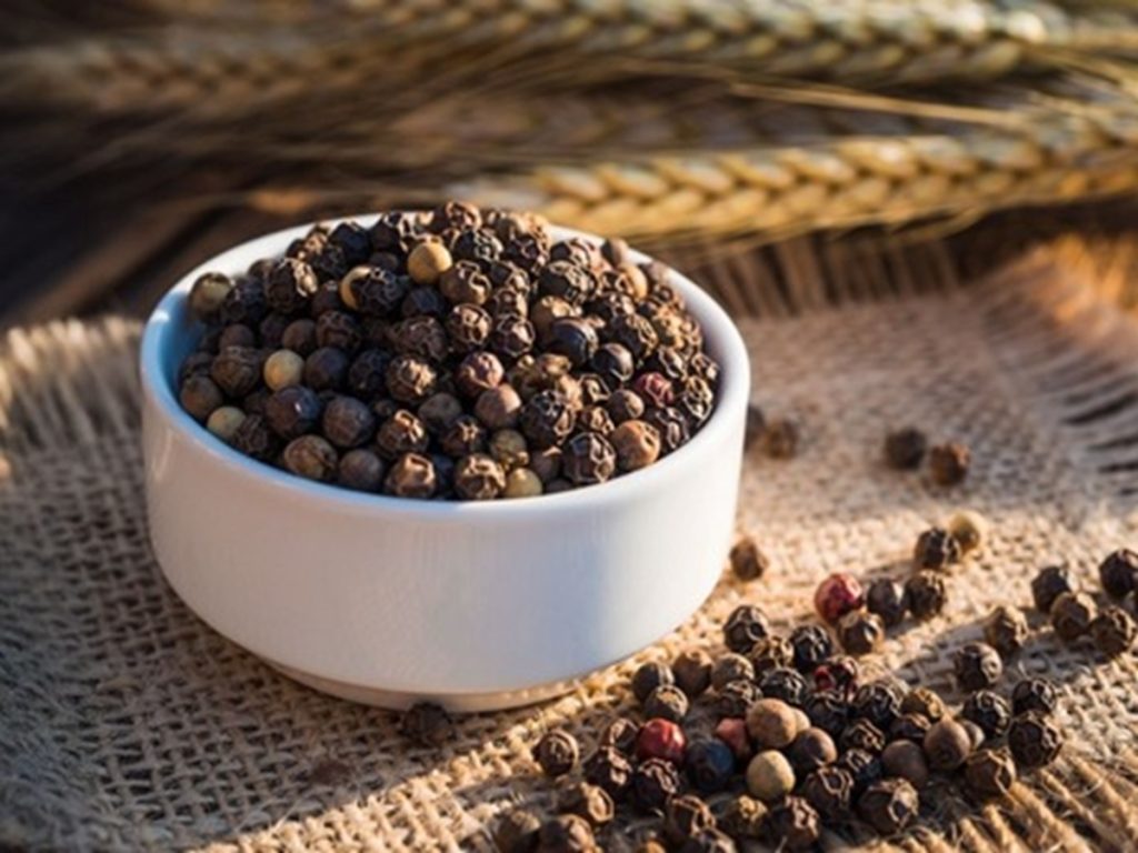 सर्दियों में रहती है मांसपेशियों की जकड़न और जोड़ों में दर्द तो काली मिर्च का इस तरह करें इस्तेमाल