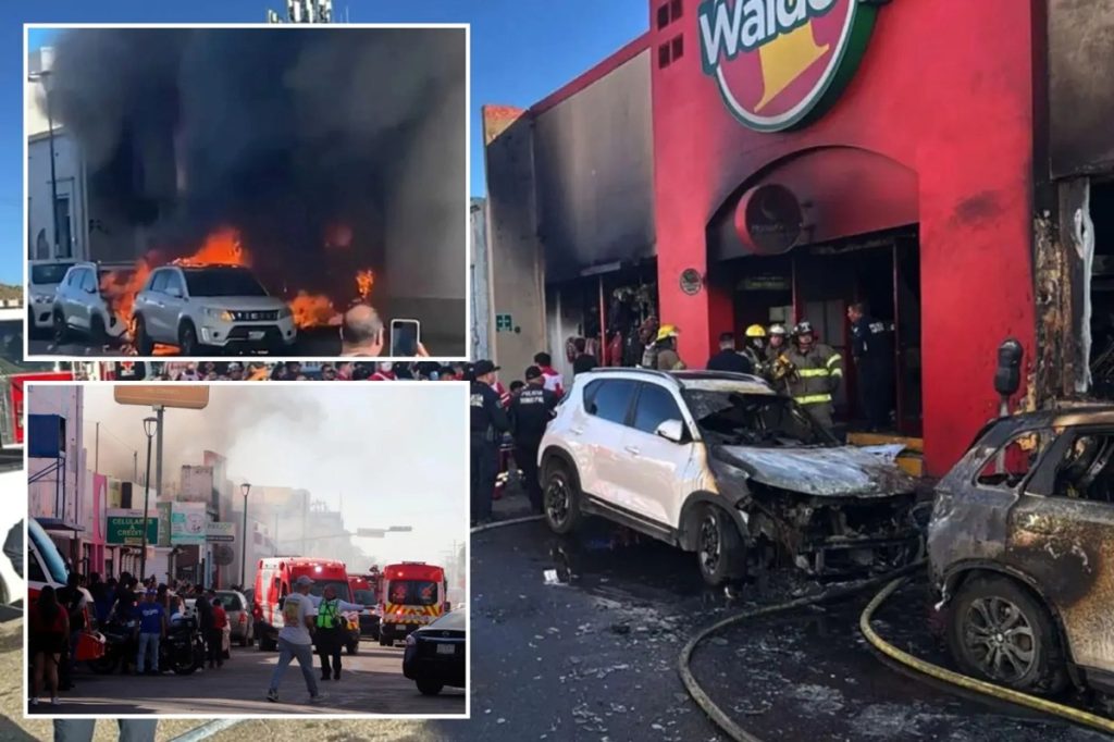 मेक्सिको के सुपरमार्केट में भीषण धमाका, बच्चों समेत 23 लोगों की मौत