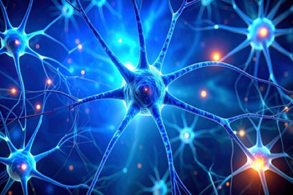 डार्क चॉकलेट और बेरीज याददाश्त बढ़ाने और तनाव कम करने में मददगार: स्टडी!