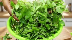 bathua-superfood-winter-health-benefits
