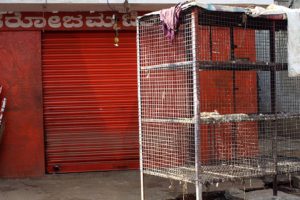 Bird-flu-detected-in-Kerala-Neighboring-state-Tamil-Nadu-on-high-alert-essential-guidelines-issued!