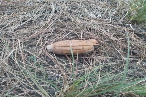 Jammu-and-Kashmir-Old-grenade-found-in-the-forest-near-Dhariyala-village!