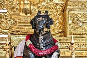 Maha-Shivratri-Special-Water-flows-from-Nandis-mouth-performing-the-ritualistic-anointing-of-the-deity-automatically!