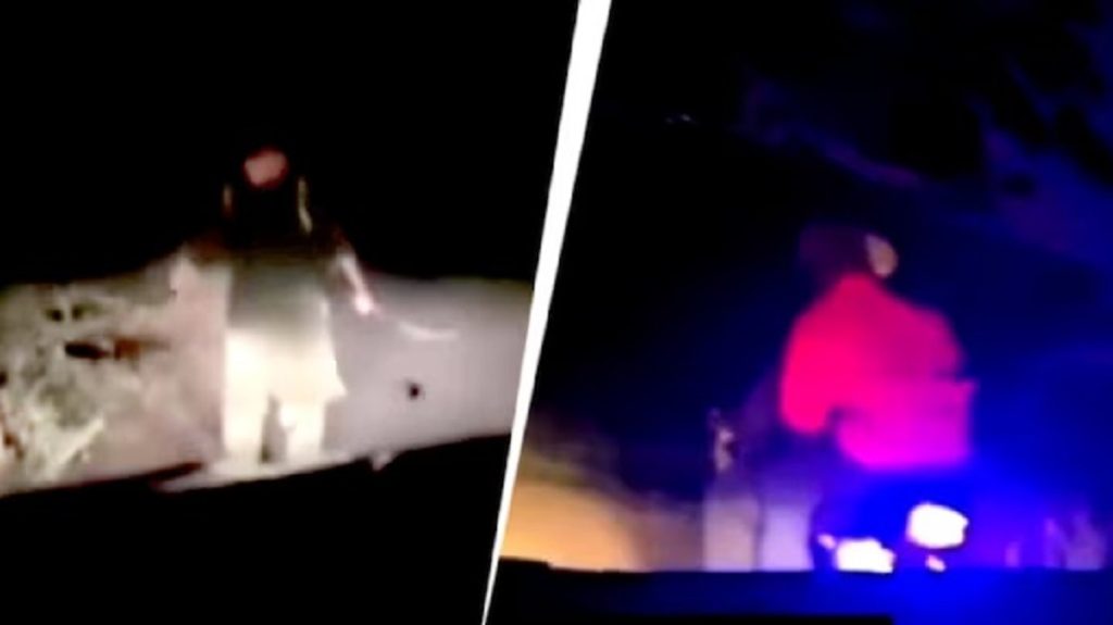 पंजाबी NRI महिला ने ऐसे घुमाई तलवार की भाग खड़े हुए लुटेरे