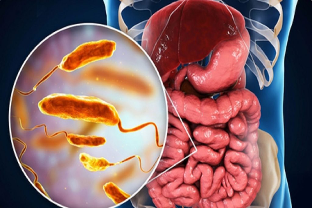 क्यों फिट बॉडी और माइंड के लिए जरूरी है ‘हिट’ माइक्रोबायोम?