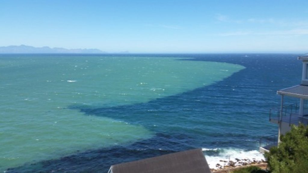 हरा से पीला तक, अलग-अलग क्यों होता है ‘समुद्र का रंग’