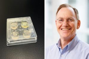 50-Scientists-Identify-Five-Ways-to-Fight-Drug-Resistant-Fungi