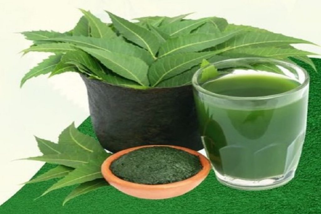 फायदेमंद कड़वाहट: नीम बीमारियों का काल, लिवर का सुरक्षा कवच