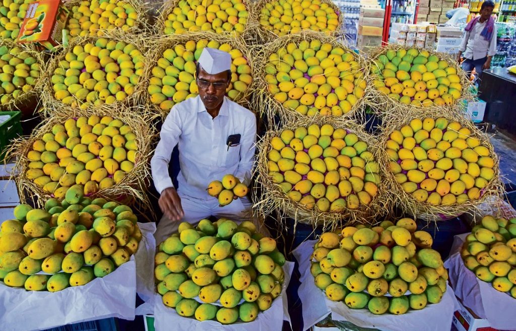 बाजार में मिलने वाला आम स्वास्थ्य के लिए खतरनाक तो नहीं, ऐसे करें आसानी से पहचान