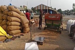Major Relief for UP Farmers: Wheat Sale Now Possible Without Registration. The Uttar Pradesh government provided significant relief to farmers on Monday, allowing wheat-producing farmers to sell their crops at government procurement centers without the need for prior registration. This move by the government is being viewed as a major relief for a large section of the farming community, as it eliminates the existing requirement for farmers to register themselves at government centers before selling their produce. According to officials, farmers will no longer require a 'Farm Registry' to qualify and will be able to sell their crops just as they did prior to the implementation of the new procurement system. District Magistrates across the state have also been directed to implement these instructions with immediate effect and to ensure a "hassle-free procurement process" for everyone. This decision was evidently taken following numerous reports highlighting the inconveniences and difficulties faced by farmers.