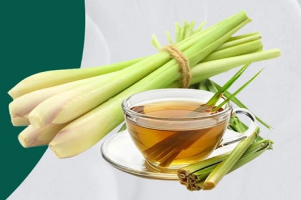 स्वादिष्ट जड़ी-बूटी लेमन ग्रास: त्वचा सफाई और इम्युनिटी बूस्ट के लाभ