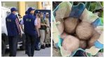 West Bengal: Case of recovery of 79 crude bombs handed over to NIA