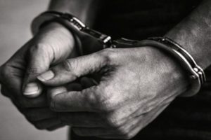 DRI-Pune-Busts-Smuggling-of-Banned-Wildlife-Two-Arrested