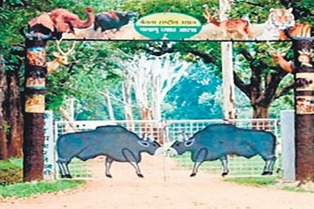 पलामू-नेतरहाट इको जोन निर्माण मामले में एनजीटी ने नोटिस जारी किया!