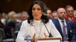 US Director of National Intelligence Tulsi Gabbard resigns