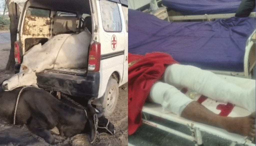 हरियाणा के नूंह में एम्बुलेंस में हो रही थी गो-तस्करी, पुलिस मुठभेड़ में एक तस्कर घायल, दो फरार