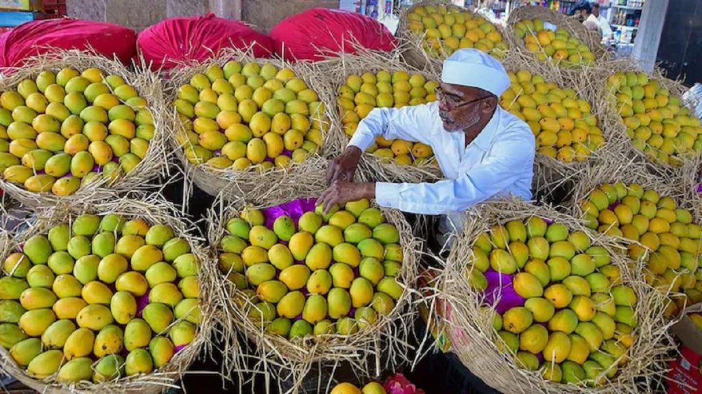 विश्व भर से भारतीय आमों की मांग, Air India ने तीन महीनों में 1,000 टन से अधिक आम विदेश पहुंचाए