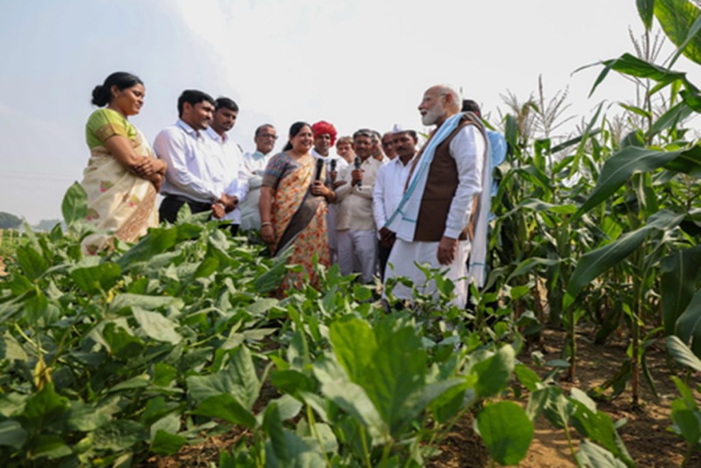 भारत का सौर कृषि मॉडल बनेगा अफ्रीका के लिए प्रेरणा: मोदी!