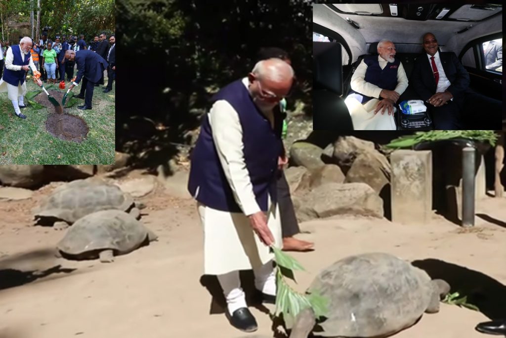 सेशेल्स में मोदी ने जोनाथन कछुए को खिलाया, राष्ट्रपति संग पौधारोपण!