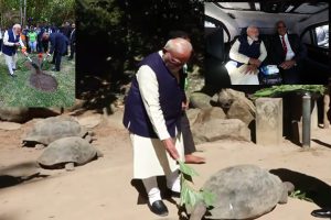 Modi-feeds-Jonathan-the-tortoise-in-Seychelles-plants-a-sapling-with-the-President