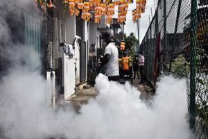 Risk-of-infection-rises-in-Sri-Lanka-due-to-a-new-strain-of-dengue