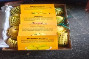 The-sweetness-of-Indian-mangoes-will-strengthen-ties-with-82-countries